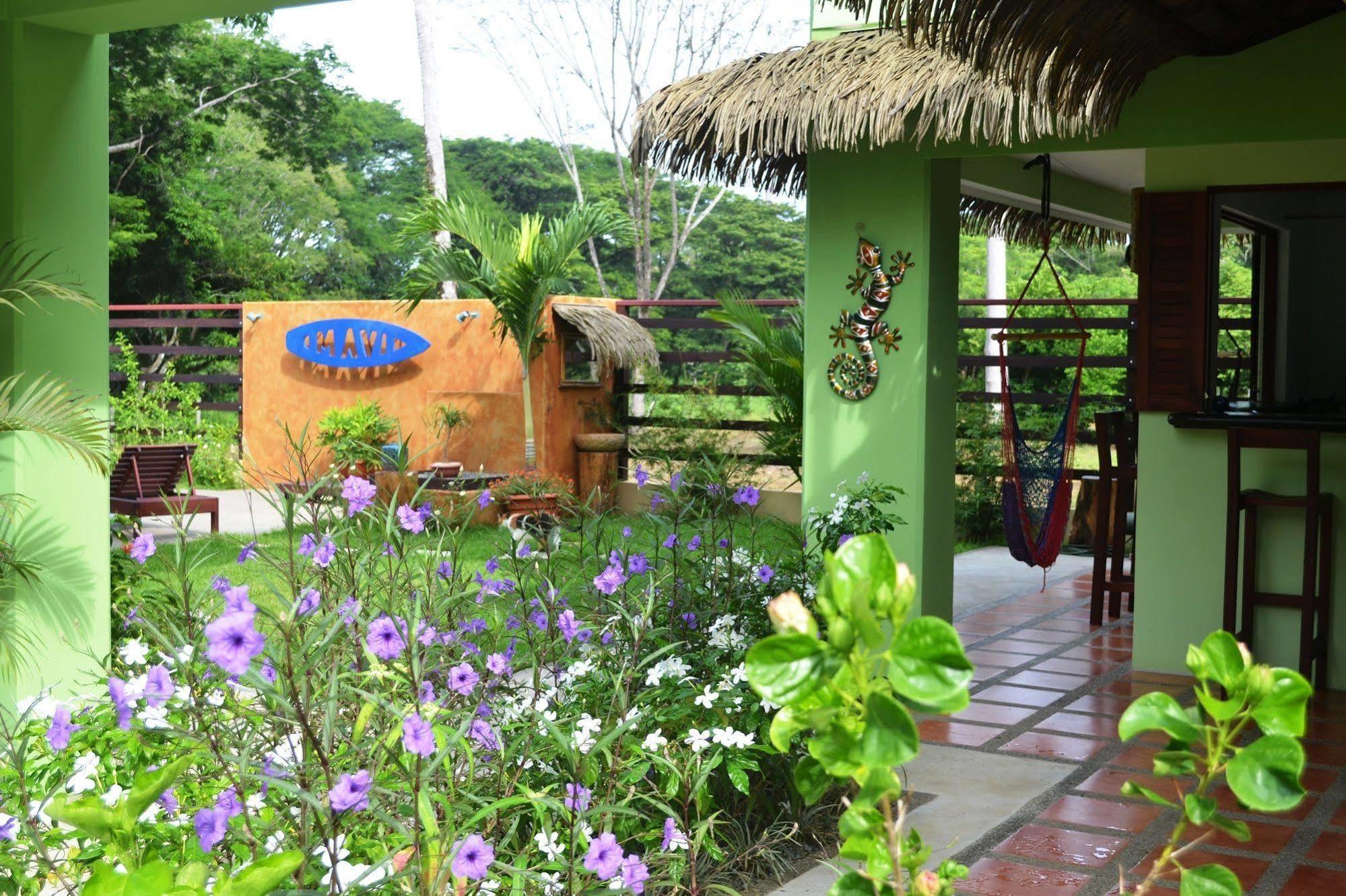 Mavi Surf Hotel Dominical Dış mekan fotoğraf